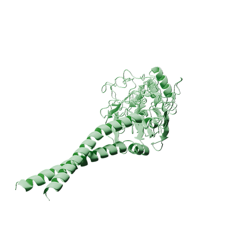 Human CD36 (C-Fc, HEK293)